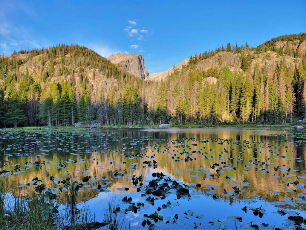 Hills covered with green trees reflect into a pond under a blue sky at Rocky Mountain National Park in Colorado