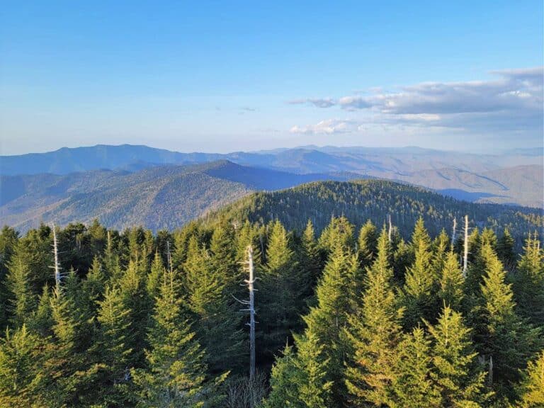 12 of the Best National Parks to Visit in May in the USA