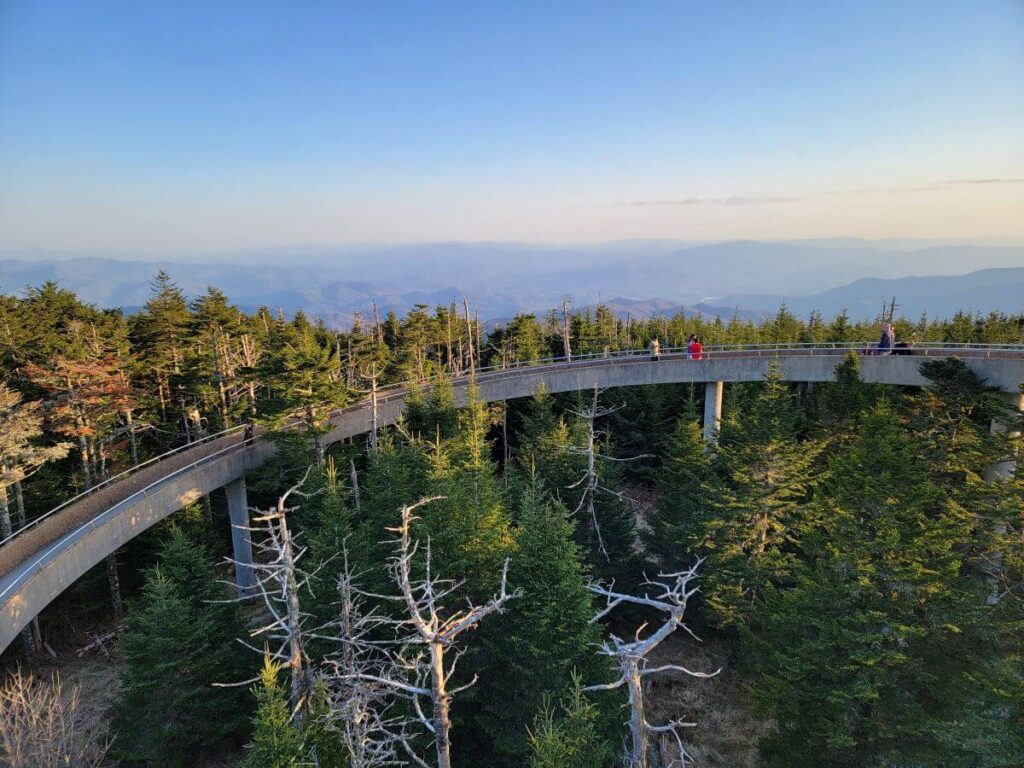 A concrete walkway in the trees at Great Smoky Mountains National Park on the border of Tennessee and North Carolina