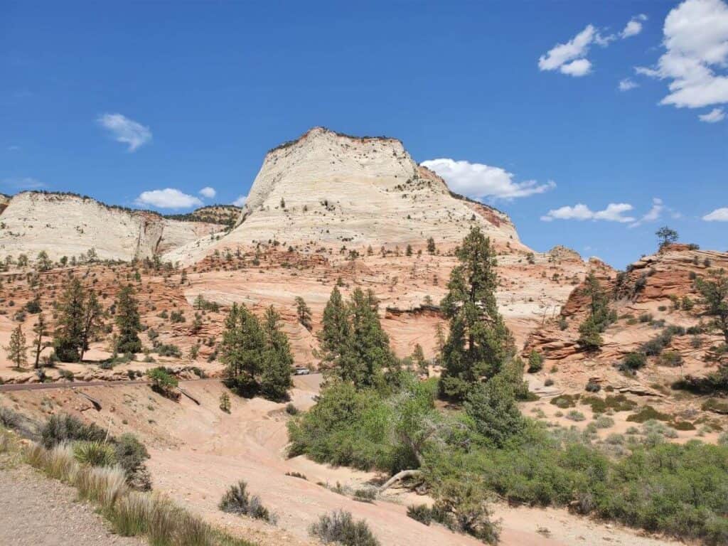 Pink and tan colored rock hills dotted with green trees in Zion National Park.