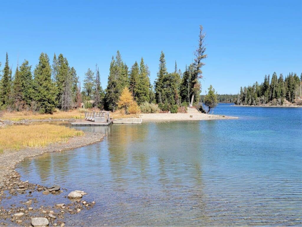 A blue lake with green trees on the banks at Grand Teton.