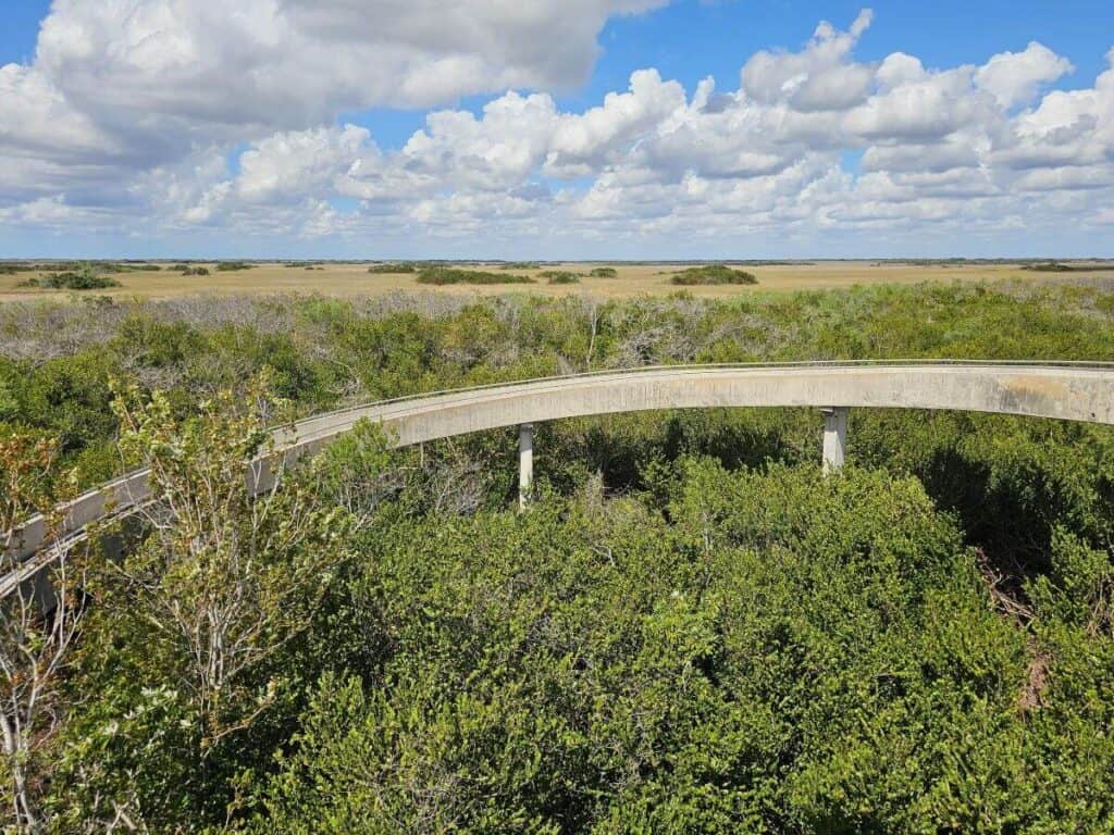 Walkway and swamp landscape in Everglades National Park from above.