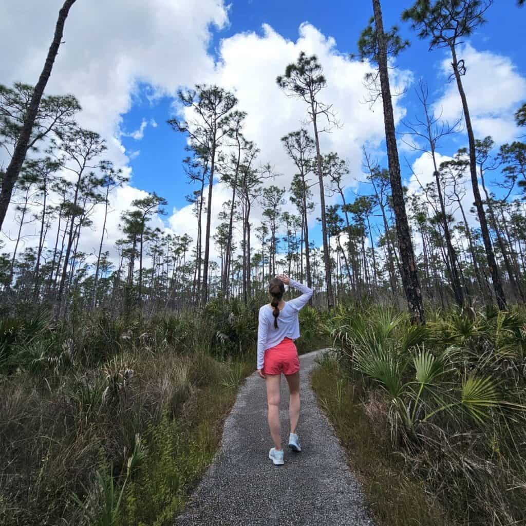 Women walking on a path lined by pine trees in Everglades National Park